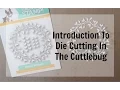 Introduction to Die Cutting in the Cuttlebug