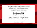 Introduction to Singularities - Rob Lazarsfeld