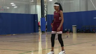 14 Year Old Point Guard Sierra Stevens Class of 2023 s 2019 AAU Highlights