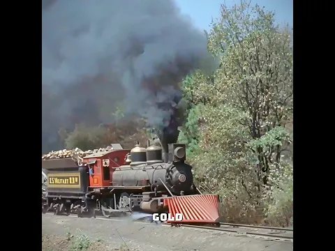 They Robbed a Gold Train With Pig Fat!