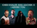 Cheb khaled Ana aachek X I Adore You (tornido remix)
