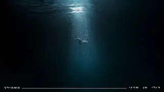 דולי ופן מרגי בשבילך 