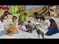 Download Lagu Kouh Gul Tuz Kaynağının Sırrı ve Dena'nın Gizli Üzümleri: Göçebe Bir Yolculuk
