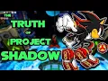 Everything You Need to Know about Shadow the Hedgehog