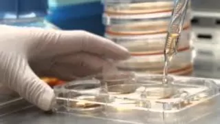 QUE ES EL CONOCIMIENTO CIENTIFICO