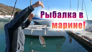 Рыбалка в марине. Поход в булочную и Сицилийские похождения.