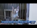 Kentucky Humane Society expanding to help more pets