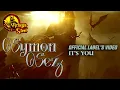 Symon Sez - It's You HD (Arkeyn Steel Records) 2022