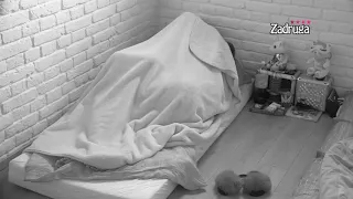 zadruga 4 maja i janju pri aju ispod ebeta ona pla e 31 03 2021 