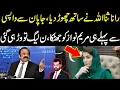 Download Lagu Rana Sanaullah ny sath chor dia, Japan sy wapsi sy pahly hi Maryam Nawaz ko jhatka, Pmln tu gai