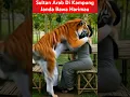 Download Lagu Sultan Arab Di Kampung Janda