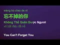 Lagu 忘不掉的你 (Không Thể Quên Được Ngươi/Wàng Bù Dìao De Nǐ/You Can't Forget You) engsub pinyin #gcthtt