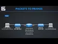 Routers Switches Packets and Frames