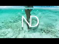 SRTW - Butterflies (feat. Charity Children)