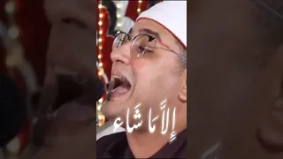 و الذي أخرج المرعي الشيخ محمود الشحات انور يدهش المستمعين أجمل ما قرأ الشيخ محمود Shorts 