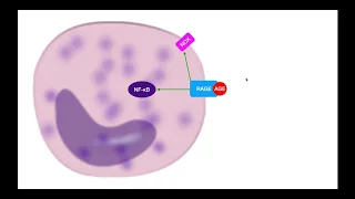 Download Advanced Glycation End-Products (AGEs) EXPLAINED [Part 1] MP3