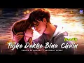Lagu Tujhe Dekhe Bina Chain LoFi: Rakesh Sutradhar | Prashant Kumar | Mujhe Yaad Hai | New Sad Song 2022
