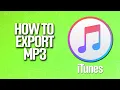 How To Export MP3 In iTunes Tutorial