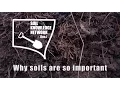 Download Lagu Why Soils Are So Important - NSW Soil Knowledge Network updated