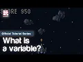What is a Variable