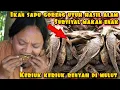 Download Lagu IKAN ALBINO GORENG KRIUK BIKIN NAPSU MAKAN
