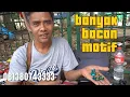 Download Lagu LAPAK BANG DEL FERI  BERMACAM BATU AKIK , ADA DISCOND