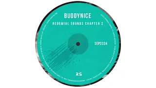 buddynice la lalala redemial mix 
