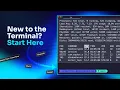 Terminal Basics That Nobody Teaches You In School