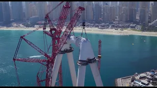                                        دندنها