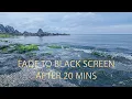 Download Lagu Use this Sound to Escape the Busy World for One Hour