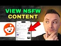 How to View NSFW Content on Reddit App Step by Step