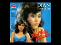 Download Lagu AKU CINTA PADAMU DIAN PIESESHA