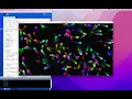 Confetti in the Wind Data Visualisation with Java