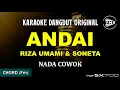 ANDAI - RIZA UMAMI || KARAOKE DANGDUT ORIGINAL || NADA COWOK