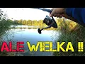 Download Lagu To Nie Był Zaczep !! Wielka Ryba z Wielkiego Zielska !! Method Feeder !! Wędkarstwo !! Ryby !!