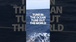 The soundtrack to a sailing life #windedvoyage #sailinglifestyle #solosailing #africa