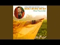 Download Lagu Mei Chunni Diyan Reshmi Tandan