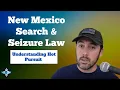 Search and Seizure in New Mexico - Hot Pursuit