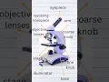 Parts of the microscope