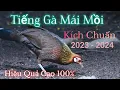 Download Lagu Tiếng Gà Mái Mồi | Thử Xong Về Like sau | Chuẩn 100%