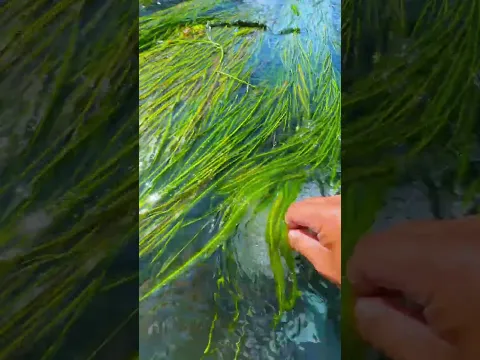 the beauty of nature - You didn't think it was that beautiful #satisfying