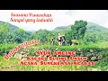 Download Lagu AYUN AMBING | KACAPI SULING | Sungkeman Ngaras Panganten