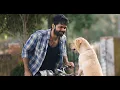 Download Lagu This Scene 🥹 | #charlie777  | Best Movie | #charlie  | #emotional #777charlie  | #bestmovie