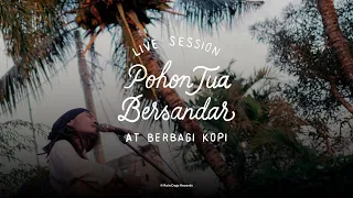 Download Dialog Dini Hari - Pohon Tua Bersandar (Live Session) MP3