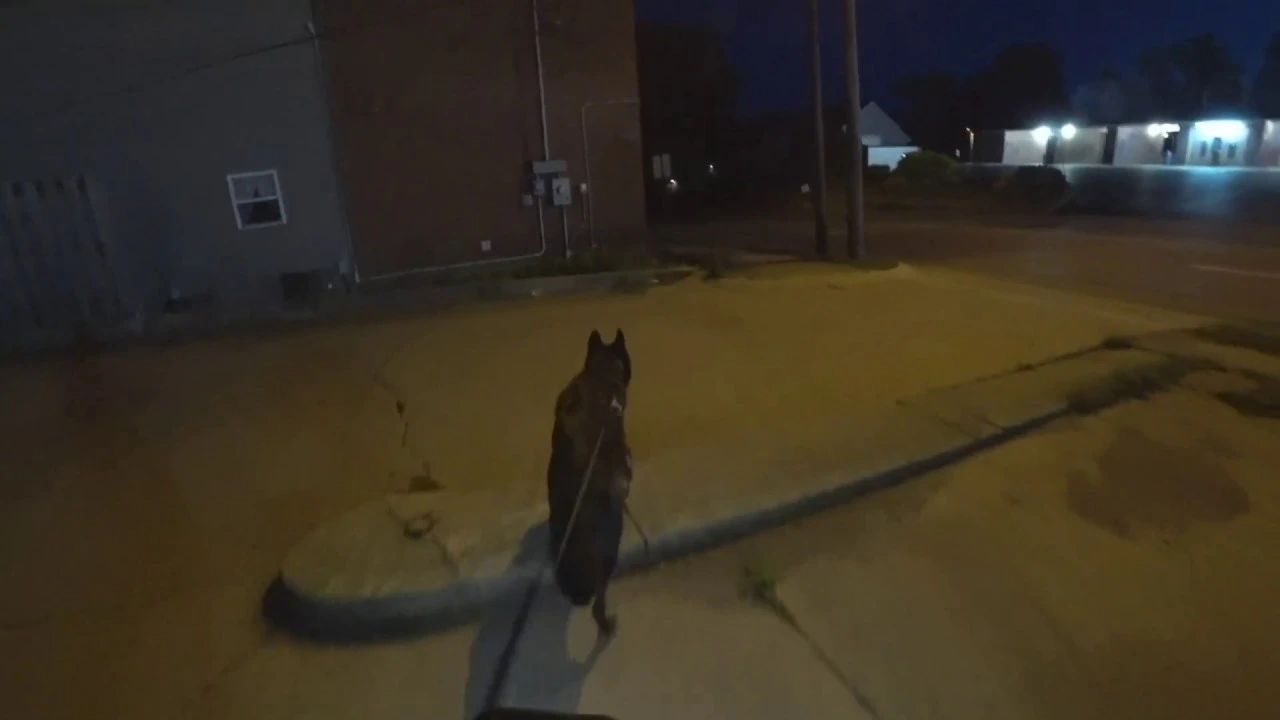 Walking Luna