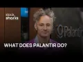 What Does Palantir Actually Do