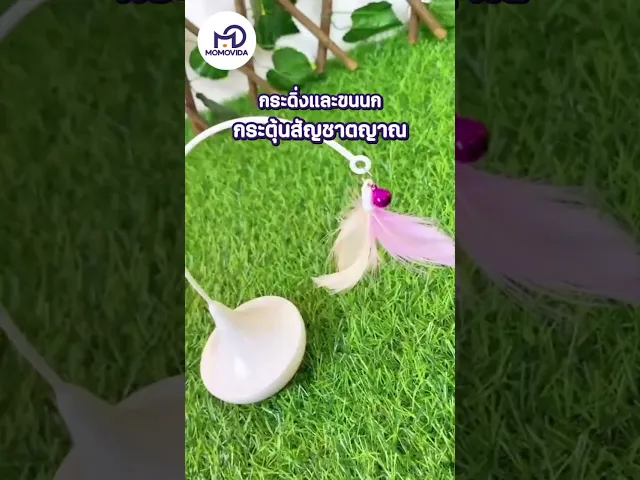 MOMOVIDA CT-3 ไม้ตกแมวล้มลุกอัตโนมัติ เล่นสนุกคลายเครียด