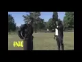 “You Don’t Have Future Here” African football coach meme