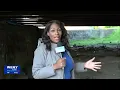 Closer look at homelessness in Elmira