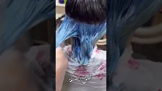أفضل صبغات الشعر        صبغ أسفل الشعر باللون الأزرق دندنها